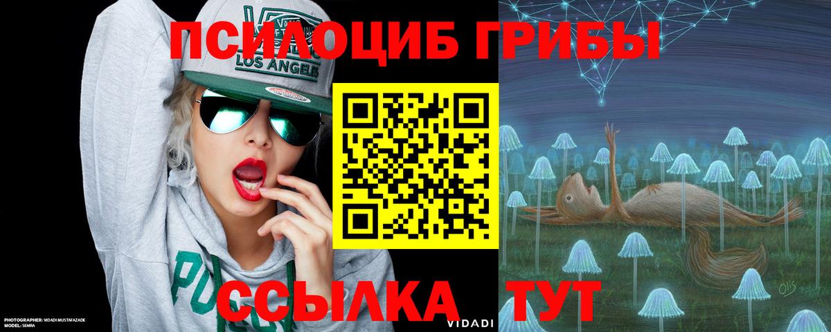 Псилоцибиновые грибы ЛСД Борисоглебск