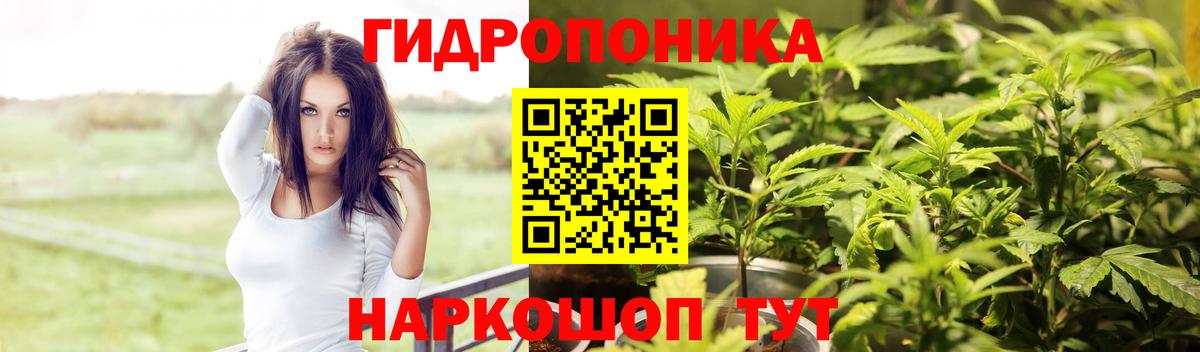 Борисоглебск  Бошки марихуана планчик  Каннабис семена  Вход с VPN  Каннабис план 